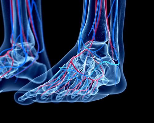 GettyImages-483777958-5x4