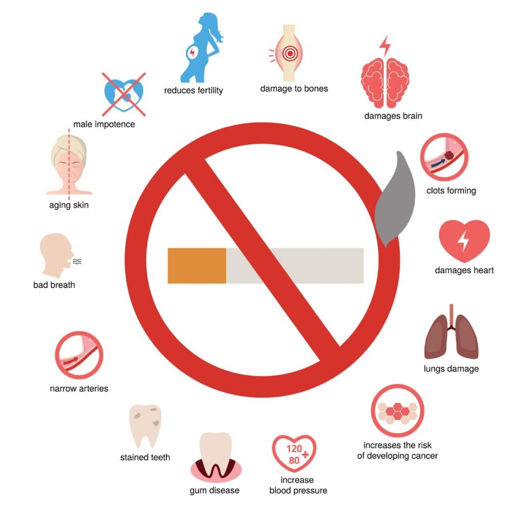 How Smoking Damages Blood Vessels and How They Recover