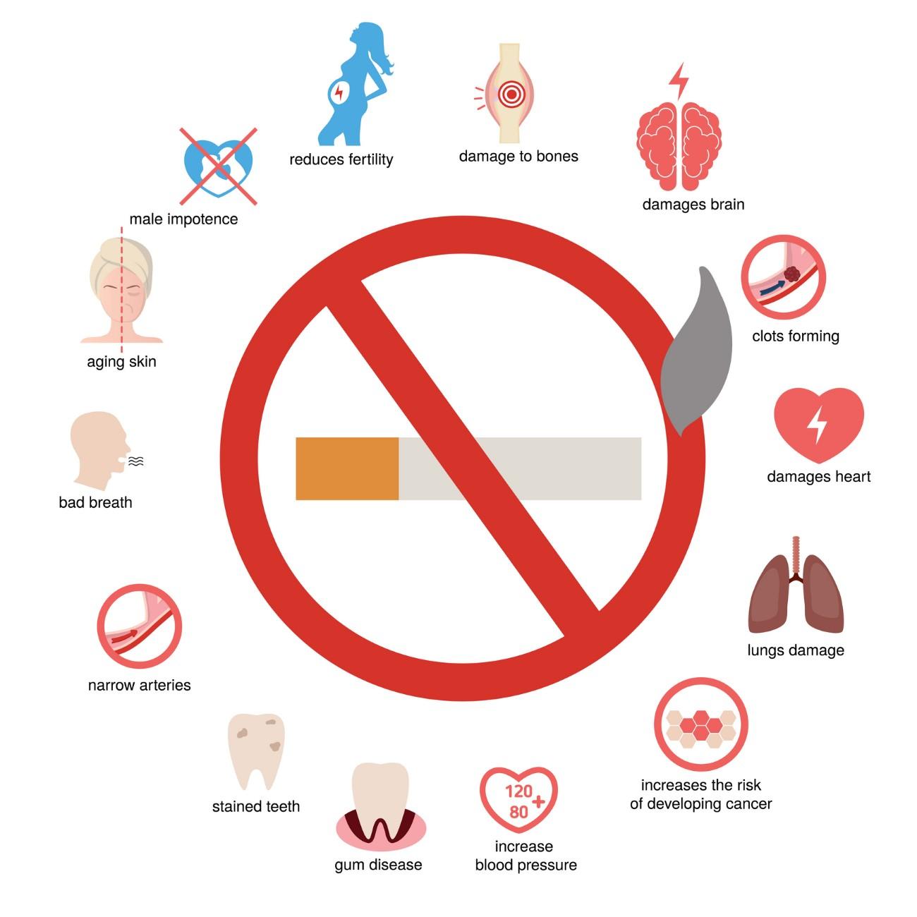 Tobacco Effects On Blood Vessels Explained By ReVaMP Heart & Vascular Institute