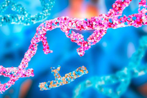 Gene Therapy Approach for Cardiovascular Disease in Patients at ReVaMP Heart & Vascular Institute