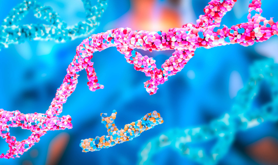 Gene Therapy Approach for Cardiovascular Disease in Patients at ReVaMP Heart & Vascular Institute