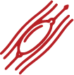 Cardiac Catheterization icon