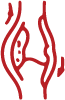 Advanced Plaque Analysis icon
